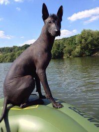 на рыбалке!