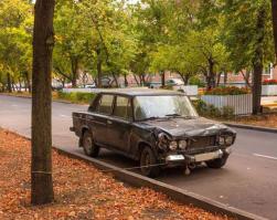 Выгуливает, а чтоб не убежала - к дереву) все правильно)