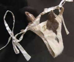 10 вещей, которые категорически не подходят никому