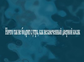 27 веселых цитат, которые поднимут тебе настроение на весь день