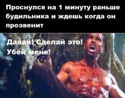 Картинки со смешными подписями