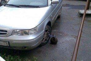 Подборка автоприколов. Часть 187