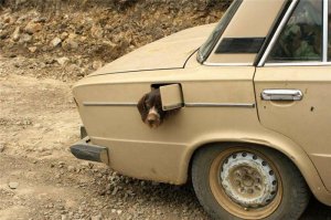 Подборка автоприколов. Часть 187