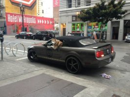 Подборка автоприколов. Часть 187