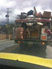 Подборка автоприколов. Часть 188