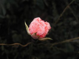 18 инсталляций из снега, сделанные природой