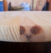 Парейдолия: Лица, скрытые в предметах быта