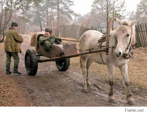 Фотоподборка армейских приколов