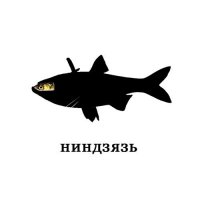 Прикольные картинки с надписями