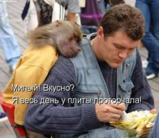 Прикольные картинки с надписями