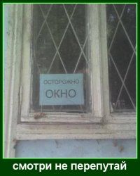 Прикольные картинки с надписями