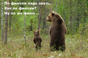 Общение с лесными животными