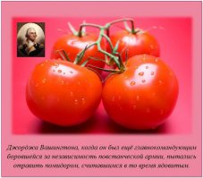 Факты в картинках 