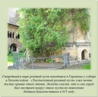 Факты в картинках 