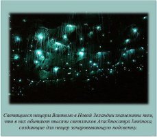 Факты в картинках 