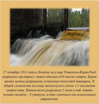 Факты в картинках 