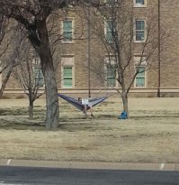 Фотоподборка за 03.02.2015