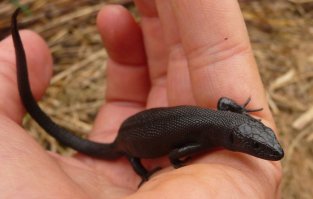 Фотоподборка за 03.02.2015