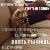 Просто смешные картинки с подписями 