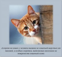 Удивительные факты