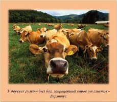 Удивительные факты