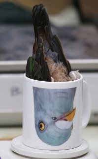 Фотоподборка за 20.02.2015