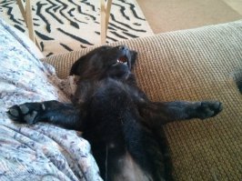 Спящие. Воскресный пост