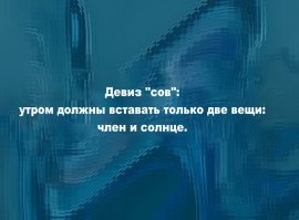 20 жизненных открыток для отличного настроения