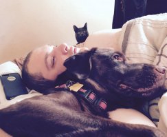 Фотоподборка за 30.03.2015