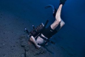 Фотоподборка за 30.03.2015