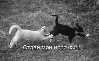 Фотоподборка за 30.03.2015