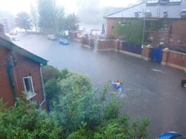 Фотоподборка за 31.03.2015