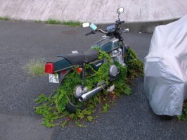 Подборка автоприколов. Часть 210