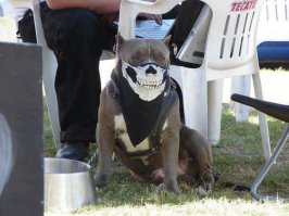 Фотоподборка за 03.04.2015