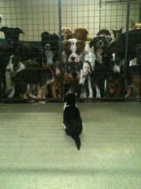 Фотоподборка за 03.04.2015