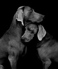 Фотоподборка за 06.04.2015