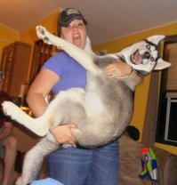 Фотоподборка за 06.04.2015