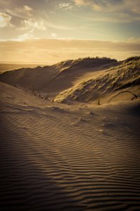 Фотоподборка за 08.04.2015