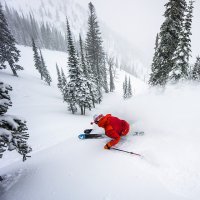 Фотоподборка за 08.04.2015