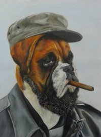 30 веселых фотографий с животными