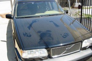 Подборка автоприколов. Часть 218