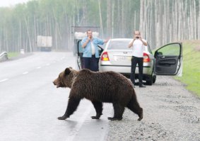 Подборка автоприколов. Часть 219