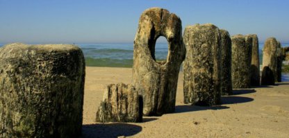 Фотоподборка за 14.05.2015