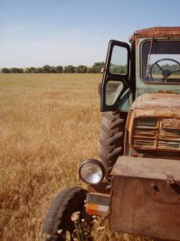 Вставлю свои пять копеек:)