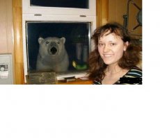 Собаки за стеклом 