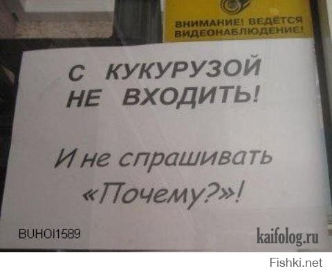 Прикольные надписи, объявления, вывески!