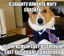 Собака адвокат)