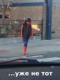 Фотоподборка за 04.02.2015