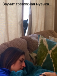 Фотоподборка за 10.02.2015