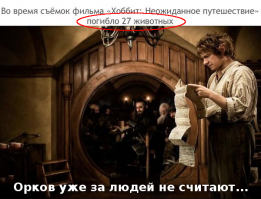 Солянка из занимательных фактов